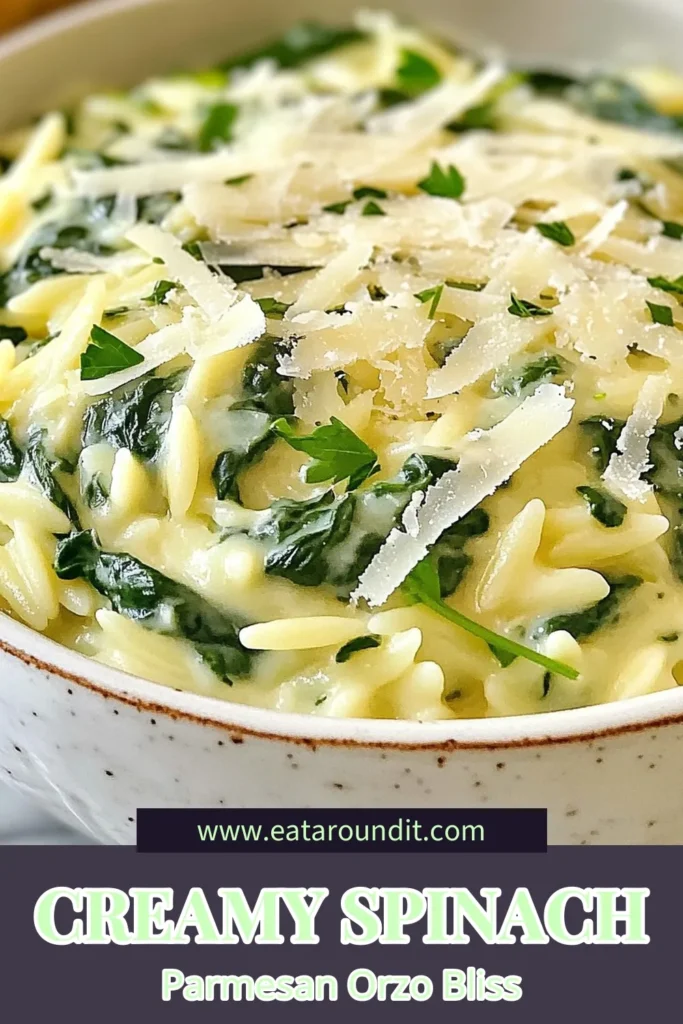 Discover the deliciousness of this creamy spinach orzo recipe! This vegetarian orzo dish combines tender orzo pasta with fresh spinach and rich Parmesan cheese, creating a perfect spinach orzo casserole for any occasion. It's an easy orzo recipe that’s ready in just 30 minutes, making it ideal for busy weeknights. Save this recipe for a comforting meal everyone will love! #CreamySpinachOrzo #ParmesanOrzoPasta #EasyOrzoRecipes #VegetarianOrzoDish